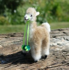 Mini Alpaca Llama Standing