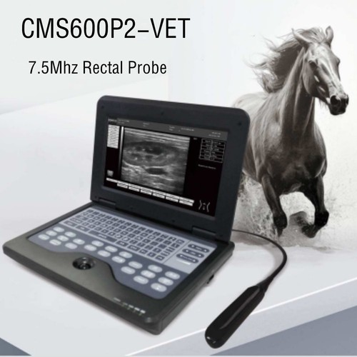 Veterinary digital ultrasound - veterinary,