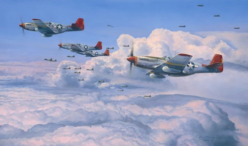 Fighting red tails - fighting,