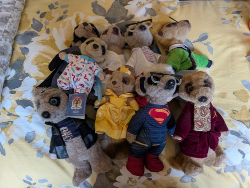 Meerkats genuine but no - 9,