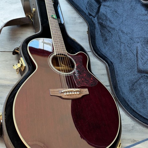 Takamine acoustic guitar - acoustic, with