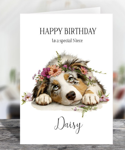 Australian shepherd puppy - australian,