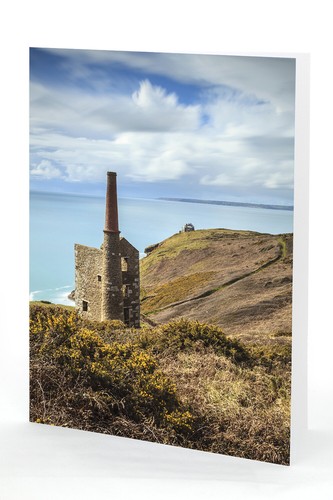 Greetings cards wheal - greetings,