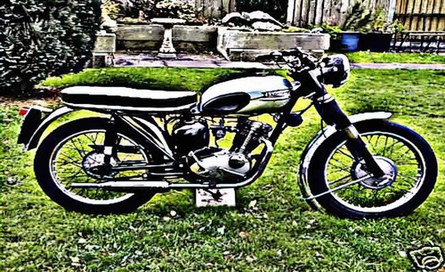 Photo motorbike tiger cub - a4,