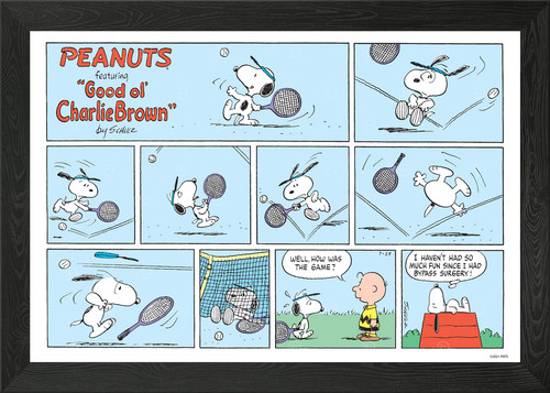 Snoopy tennis comic strip - tennis,