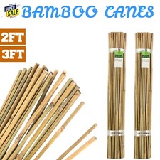 2FT 3FT Bamboo Garden Canes