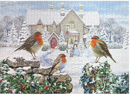 Lesser pavey robin - pavey,