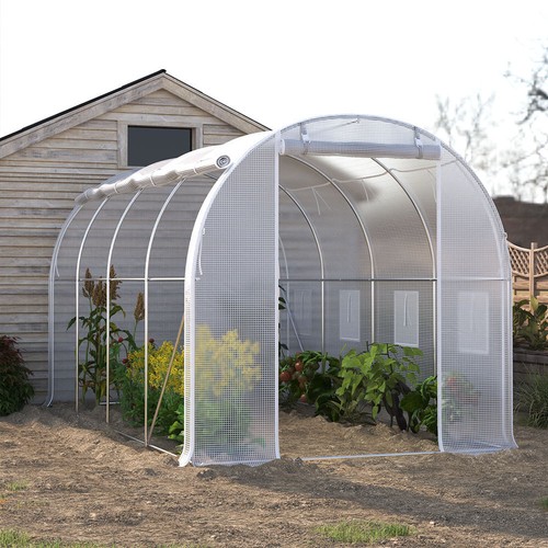 M walk in polytunnel - 4,