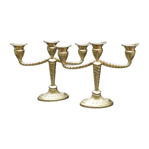 Mcm miniature arm - 3,