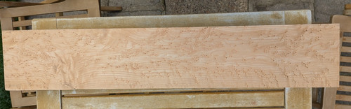 American hard maple medium - american,