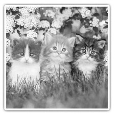 2 x Square Stickers 10 cm -