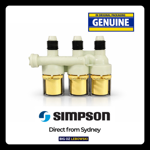 Genuine simpson inlet valve - inlet,