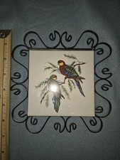 Vintage Eastern Rosella Parrot