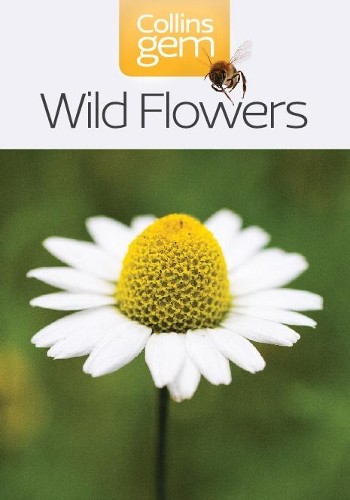 Wild flowers - flowers, gem)