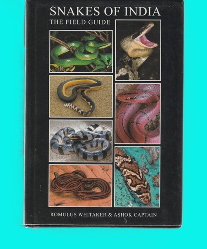 Snakes india the field - india:,