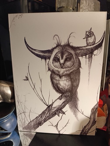 Displate magnetic picture owl - picture,