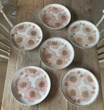 6 DENBY GYPSY DINNER PLATES