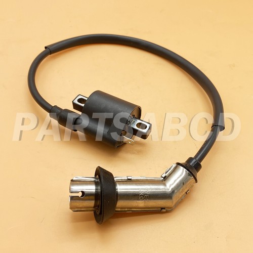 Ignition coil for - ignition,