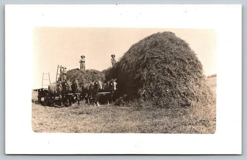 Real photo postcard farmers - photo, on