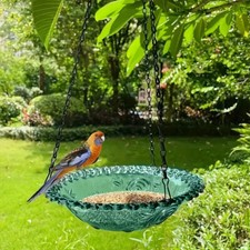 Hanging Bird Feeder with Stand