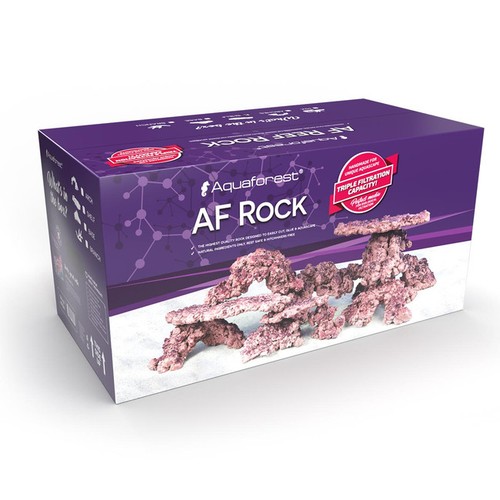 Rock dry aquarium - dry,