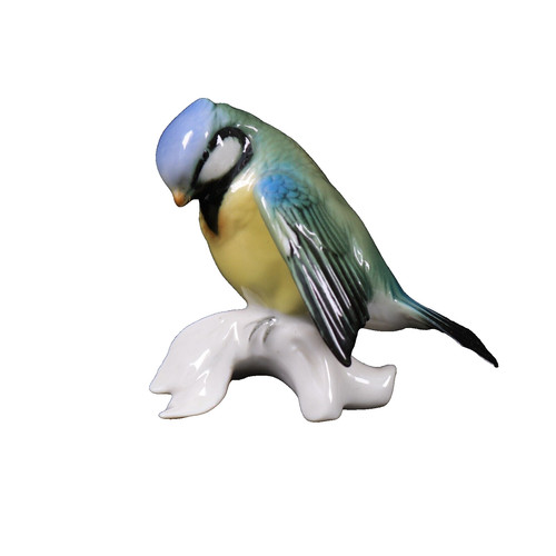 Karl ens blue tit bird - blue,