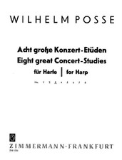 Eight great Concert-Studies harp Posse No. 3 Zimmermann Saddle-wire stitching