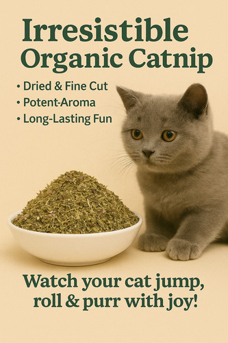 Catnip pure dried - pure,