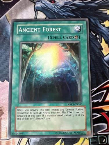 Ancient forest anpr - ancient,