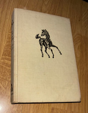 Son Of The Black Stallion