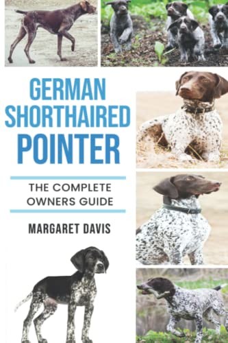 German shorthaired pointer - german,