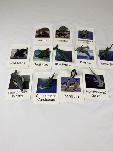Sea animals matching cards - animals, &