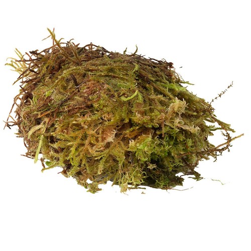 Habistat sphagnum moss - habistat,