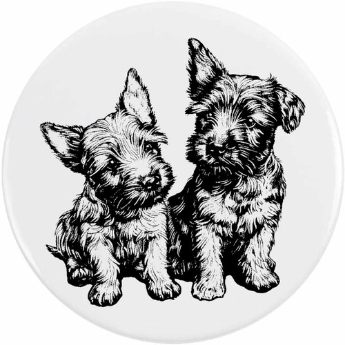 Scottish terrier puppies - 'scottish,