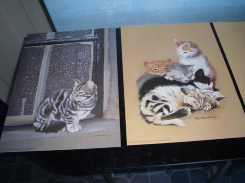 Rare polyanna pickering cat - polyanna,