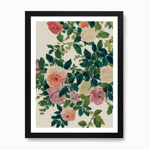 Goniopora vintage graphic - goniopora,