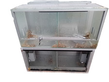 Pet small rodent reptile