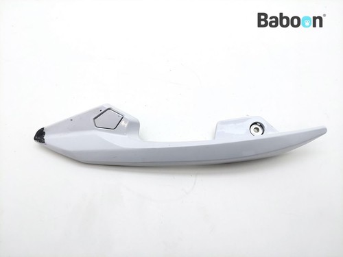 Grab bar right pillion - right,