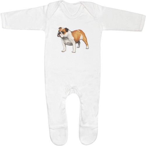 English bulldog baby - bulldog',