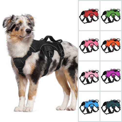 Rabbitgoo escape proof dog - escape,