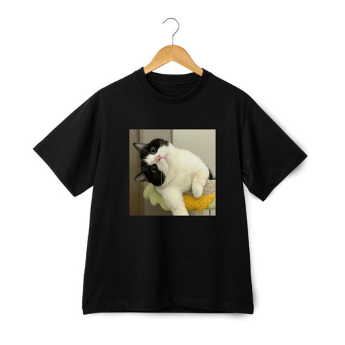 Charming cat dressing posing - charming, &