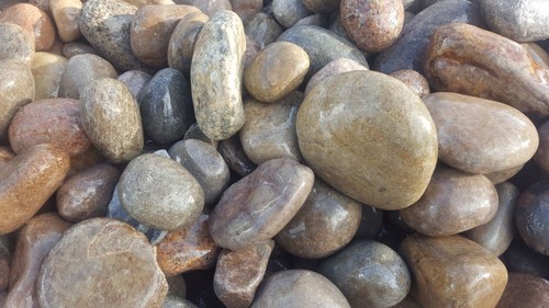 Decorative gravel scottish - **decorative,