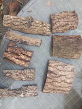 Bark Tree Bark For Modelling, Floristry, Reptile Valerium