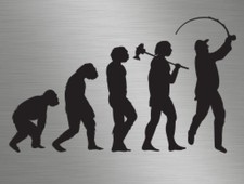 Fishing Fisherman Angling Evolution vinyl decals stickers graphics, cars, vans
