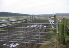 Photo 6x4 Loading area. Gordon/NT6443 For loading cattle on to lorries,  c2006