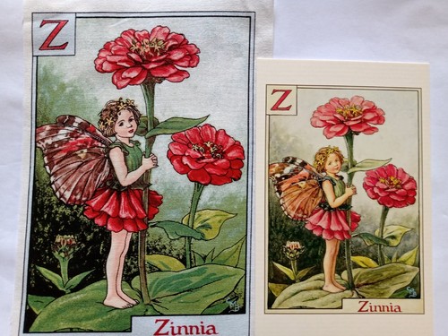 Zinnia alphabet flower - -,