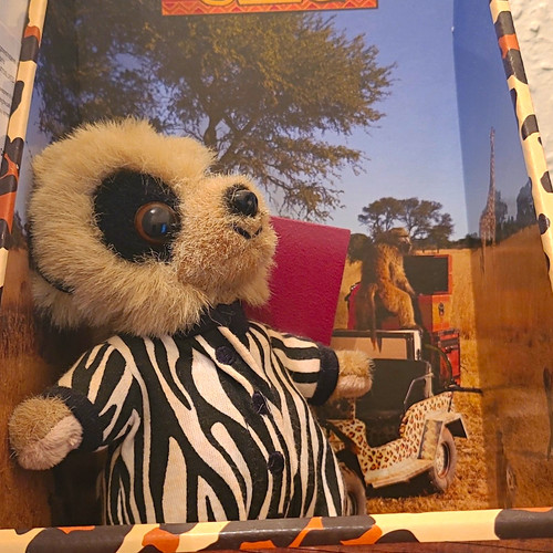 Safari oleg meerkat outfit - safari,