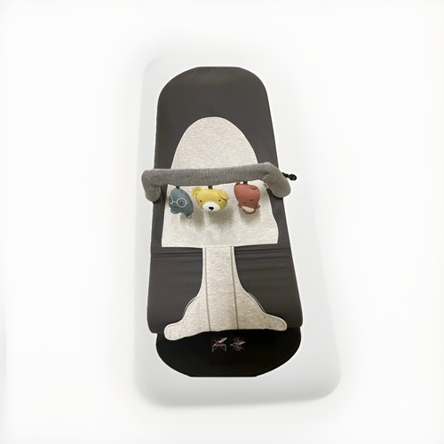 Baby bjorn bouncer bundle with - bouncer,