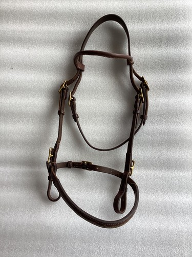Hand showing bridle brown - showing,