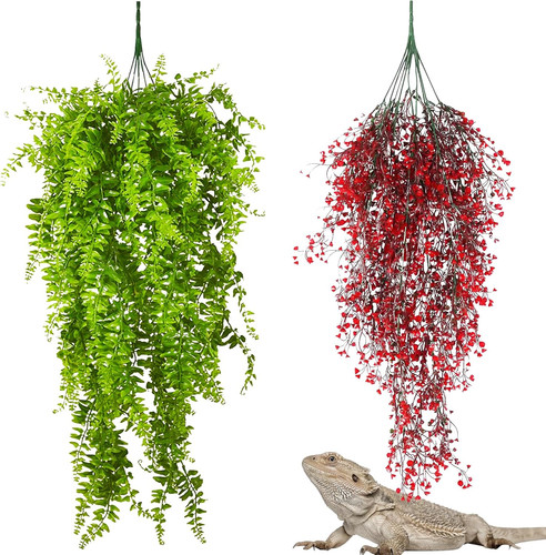 Pack reptile plants - 2,